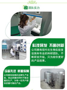 未发酵鸡粪直接用作蔬菜底肥的风险与科学替代方案