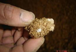 蔬菜基地供应与生物菌种应用 提升品质与效益的全链条解析