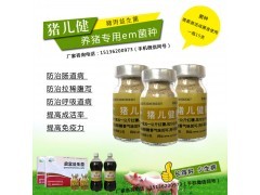 猪用饮水拌料微生物EM菌种价格多少？——中国贸易网生物菌种指南